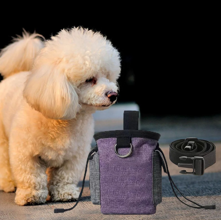 Compact dog treat belt bag for walks, featuring a convenient clip and a collapsible bowl
