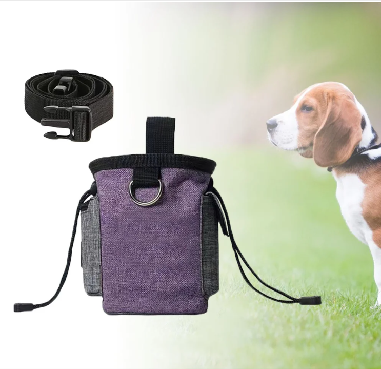 Stylish dog walking belt bag with a quick-access treat pouch and a compact foldable bowl