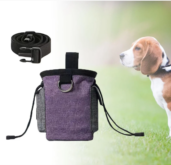 Stylish dog walking belt bag with a quick-access treat pouch and a compact foldable bowl