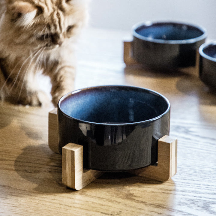 Unisex double ceramic pet bowl on bamboo stand, elevated for comfortable feeding, starry sky pattern.