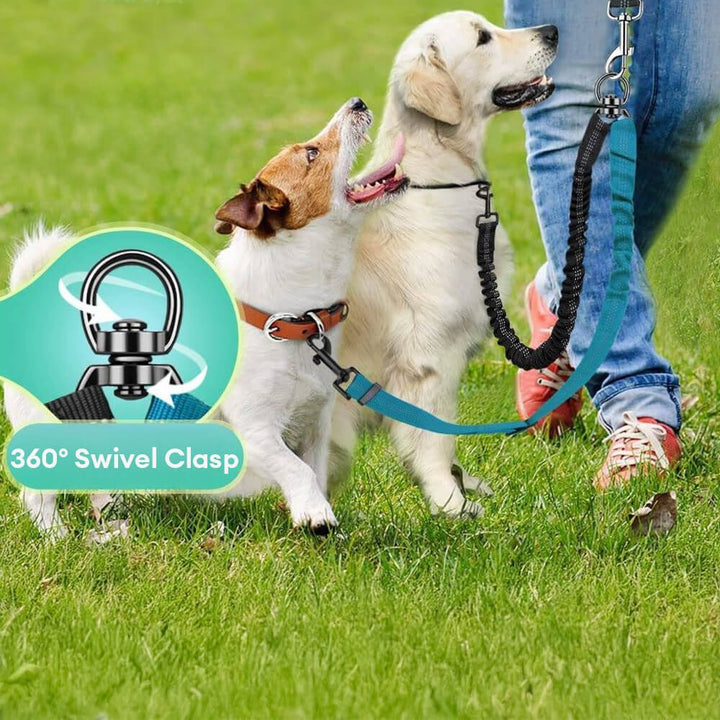 Unisex dual dog lead with shock absorbing bungee for tangle-free walking two dogs