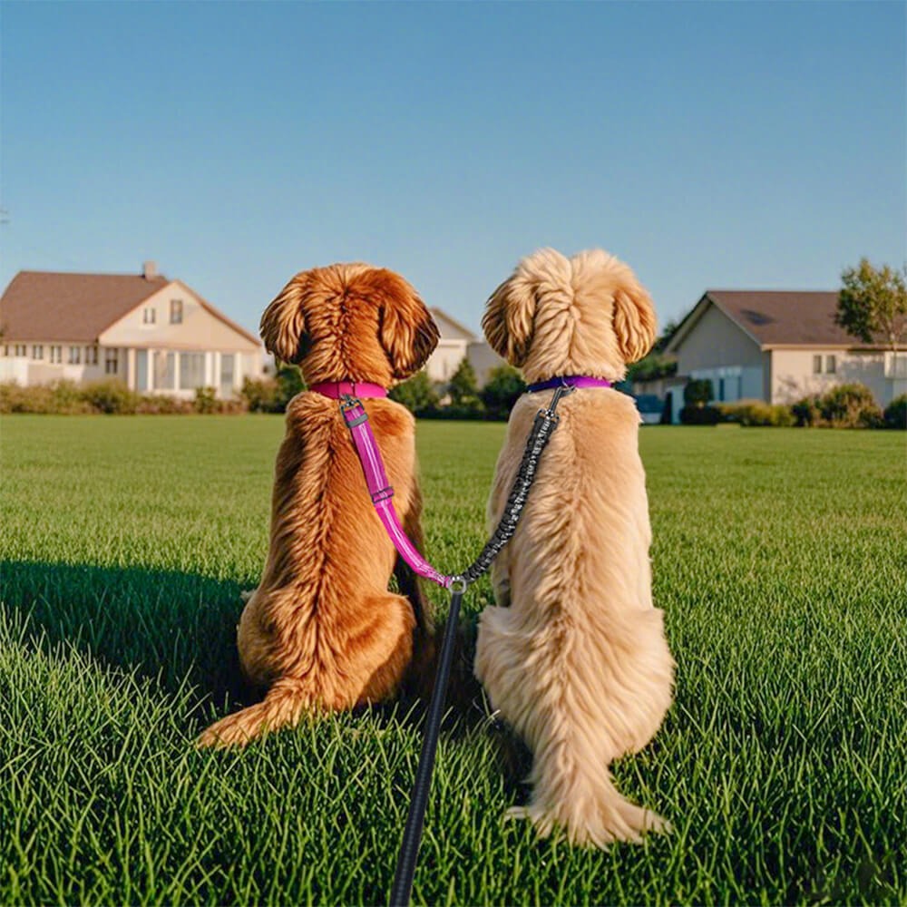 Close-up of shock absorbing bungee section on a black nylon dual dog leash
