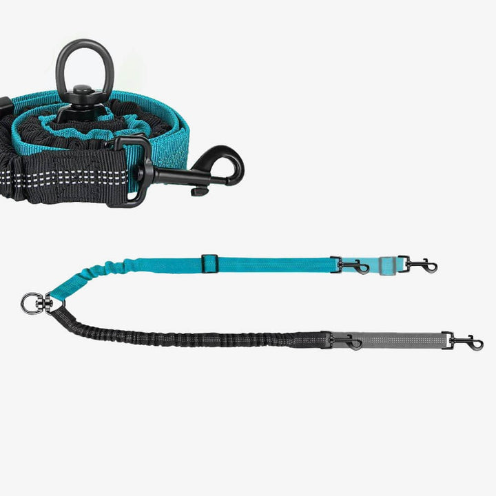 Pet accessory: no-tangle dual dog lead for walking two dogs comfortably