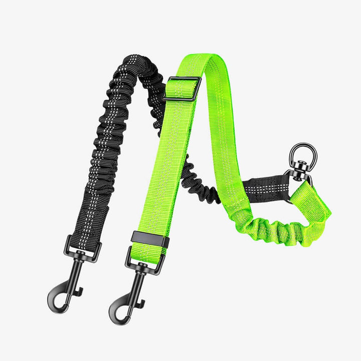Two dogs happily walking side-by-side on a unisex dual dog lead with bungee