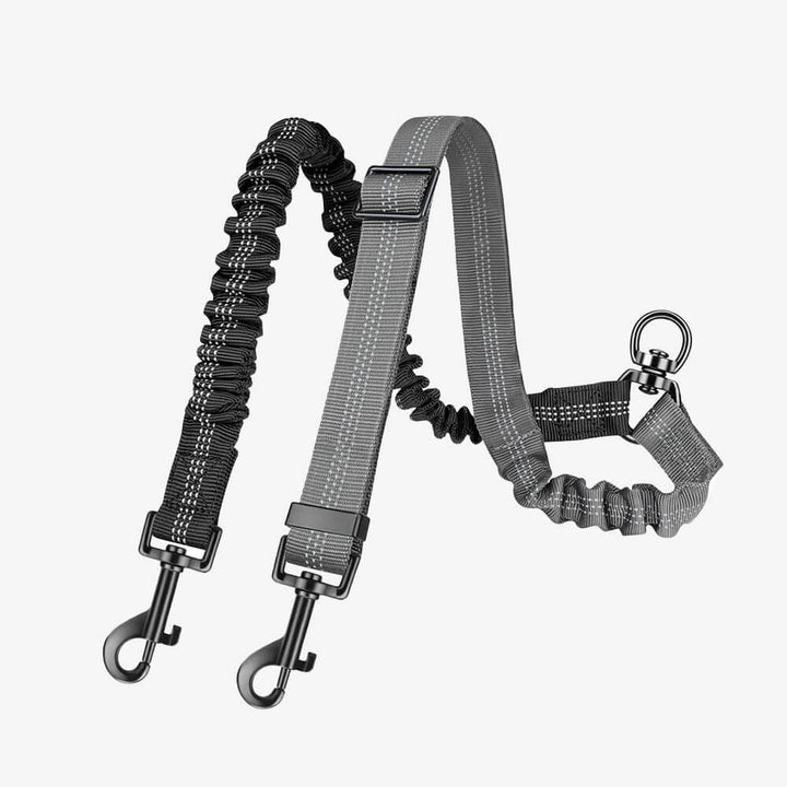 Adjustable nylon multi-dog leash for pet travel and daily dog walking