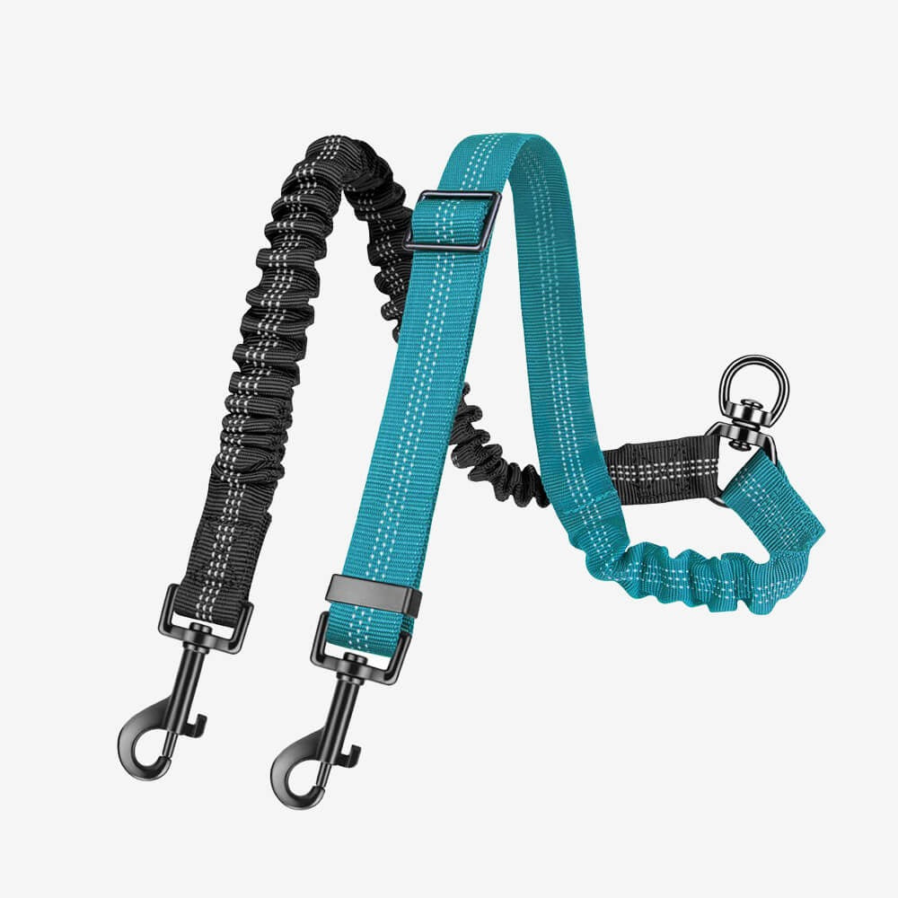 Durable dual dog lead with shock-absorbing bungee and comfortable handle