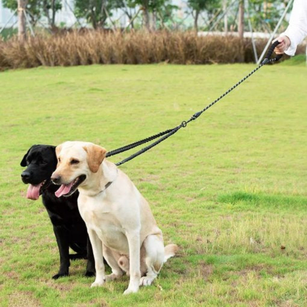 Unisex dual dog leash with no-tangle swivel for walking two dogs, reflective nylon pet accessory.