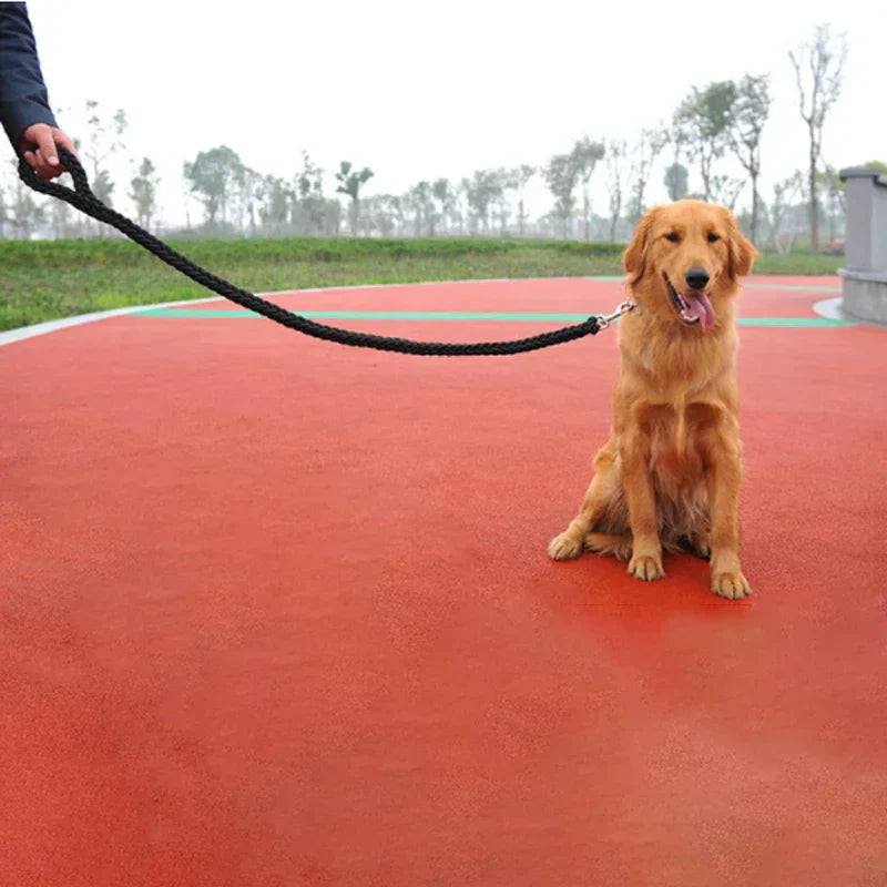 Unisex blue nylon dog leash with padded comfort grip, perfect for daily walks and training
