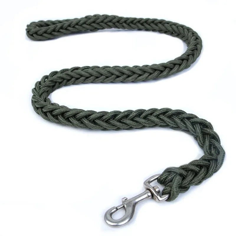 Green durable nylon dog leash with ergonomic comfort grip handle, ideal for pet owners