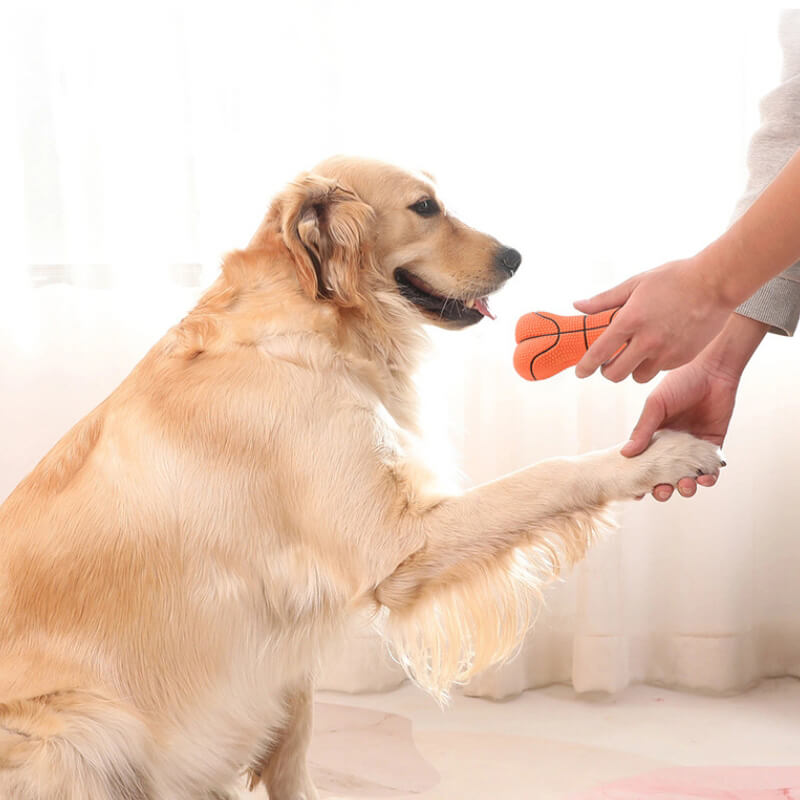 Yellow durable latex squeaky bone dog chew toy, perfect for strong chewers & pet entertainment