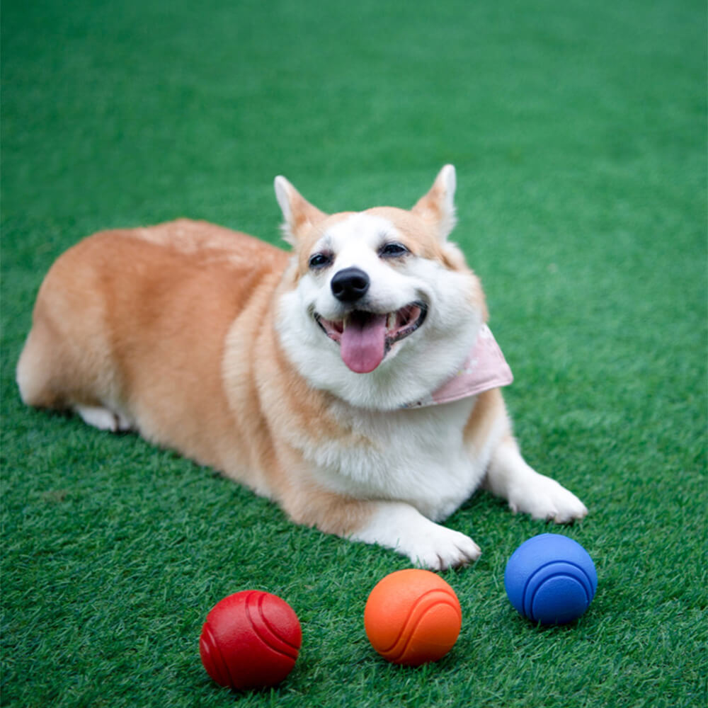 Unisex elastic squeaky floating dog toy ball for fetch in water, durable rubber chew toy