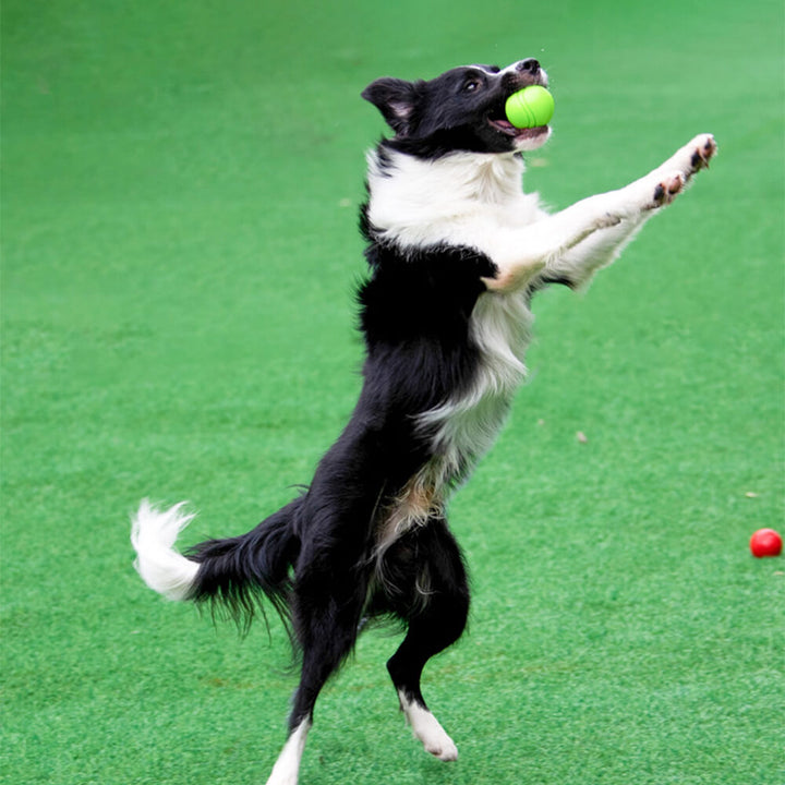 Durable red squeaky chew toy ball for dogs, suitable for energetic play and training