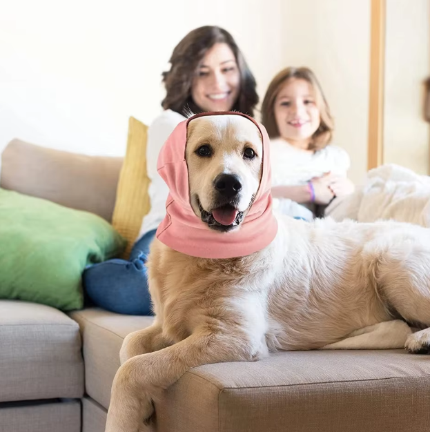 Ergonomic neck support foam travel pillow, a comfortable accessory for home or travel relaxation.