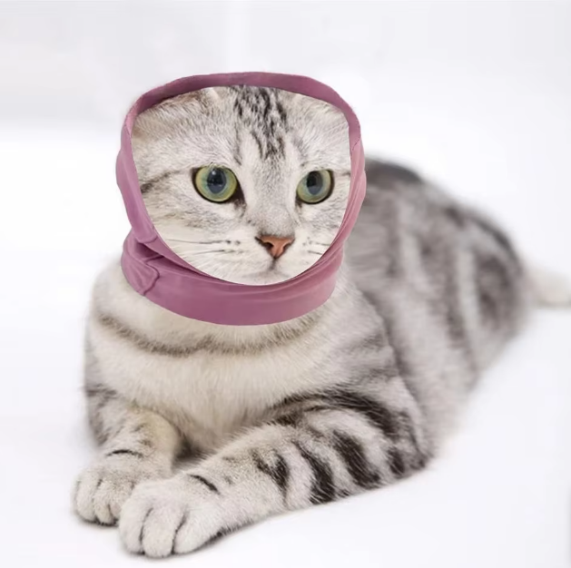 Travel accessory: a soft, plush unisex neck support pillow, ideal for comfort on the go.
