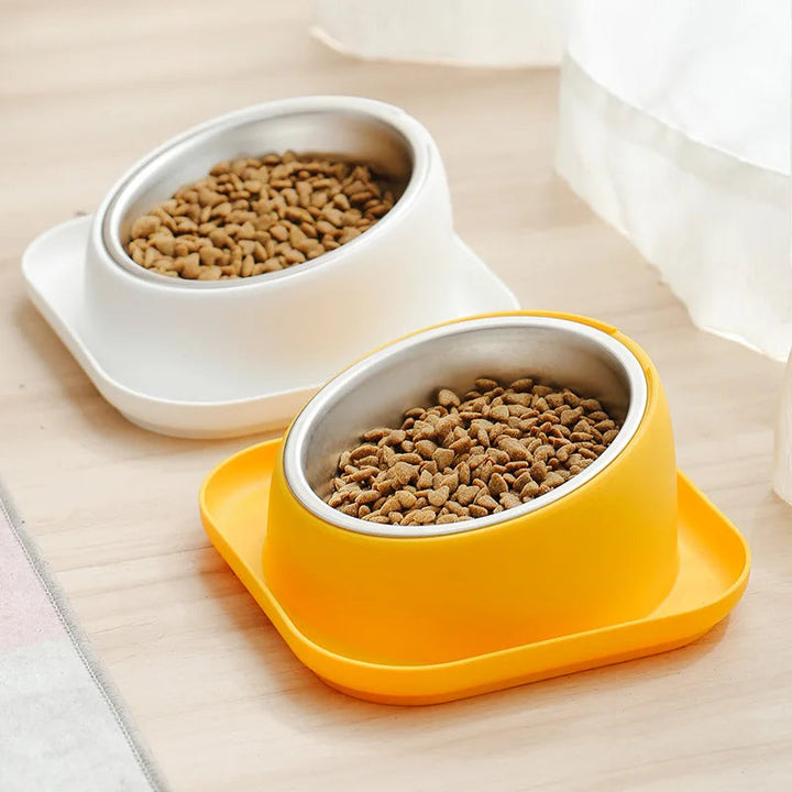 Close-up of ergonomic non-slip pet bowl, ideal for elevated feeding of cats & dogs