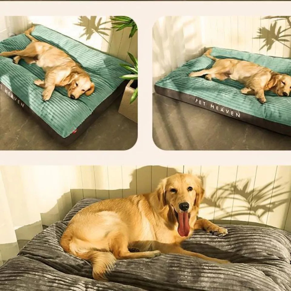Unisex ergonomic pet comfort cushion with removable grey cover, non-slip base for small dogs