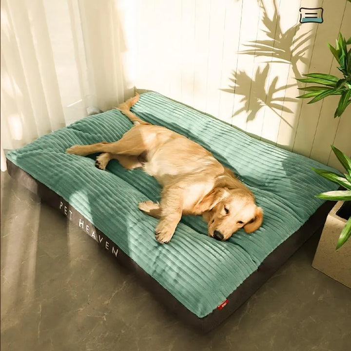 Ergonomic pet bed with plush surface, removable washable cover, ideal for dogs & cats