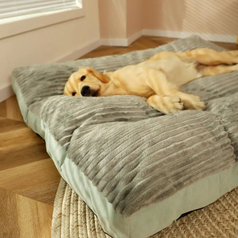 High-density foam pet bed with removable blue cover, orthopedic support for pets