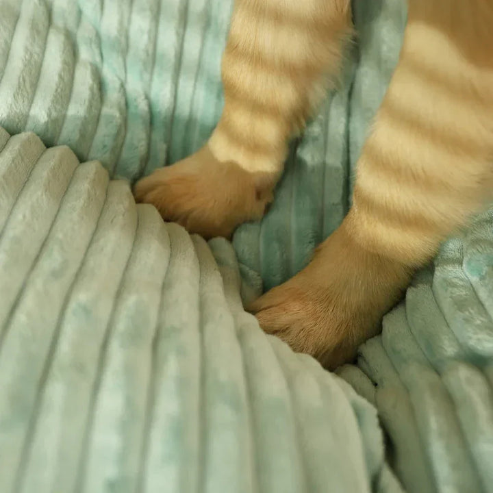 Pet comfort cushion, orthopedic, featuring a durable, removable and washable cover