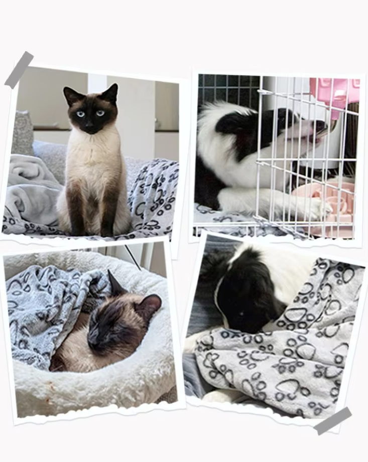 Comfortable unisex pet blanket, paw pattern, doubles as sofa protector for pets