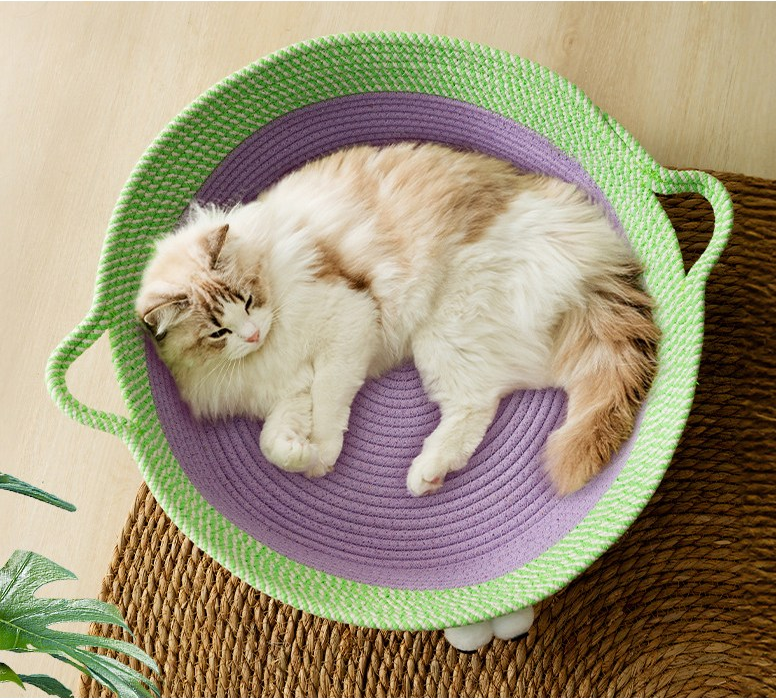 Overhead view of a durable cotton rope cat bed with charming animal design, pet supplies
