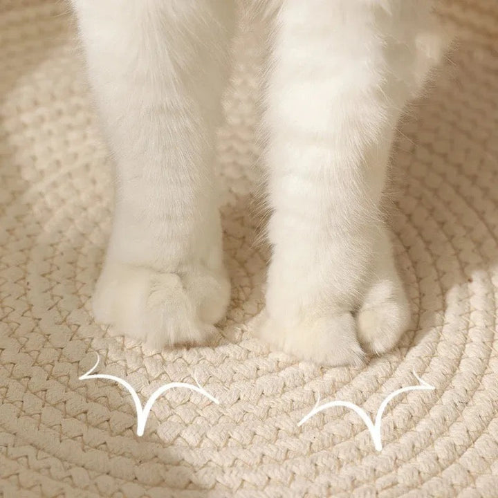 Stylish woven cat bed and scratcher combo, perfect for cat accessories in any home