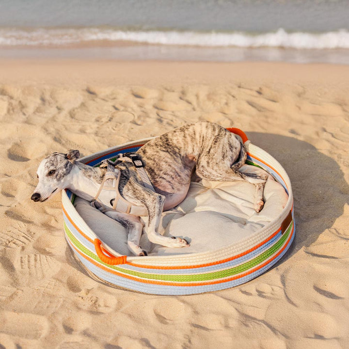 Luxurious handcrafted striped pet bed, designed for ultimate relaxation
