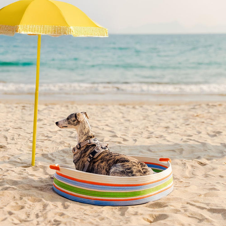 Handwoven pet bed with elegant stripes, enhancing your home decor