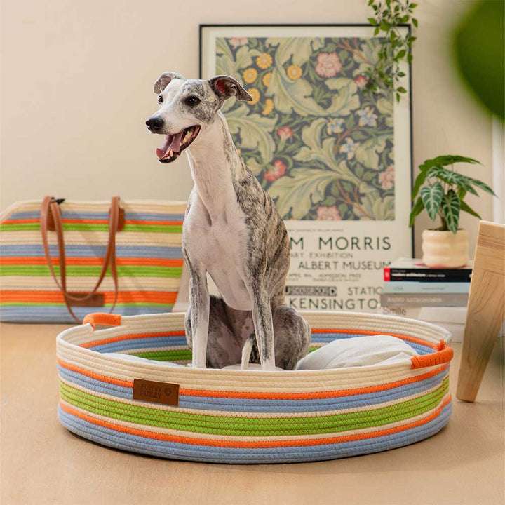 Striped pet bed featuring unique handwoven textures for comfort