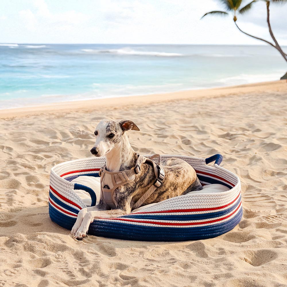 Striped handwoven pet bed, a calming sanctuary for your dog or cat
