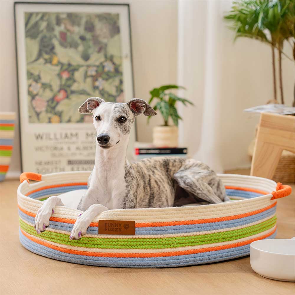 High-quality striped pet bed, handwoven for durability and comfort