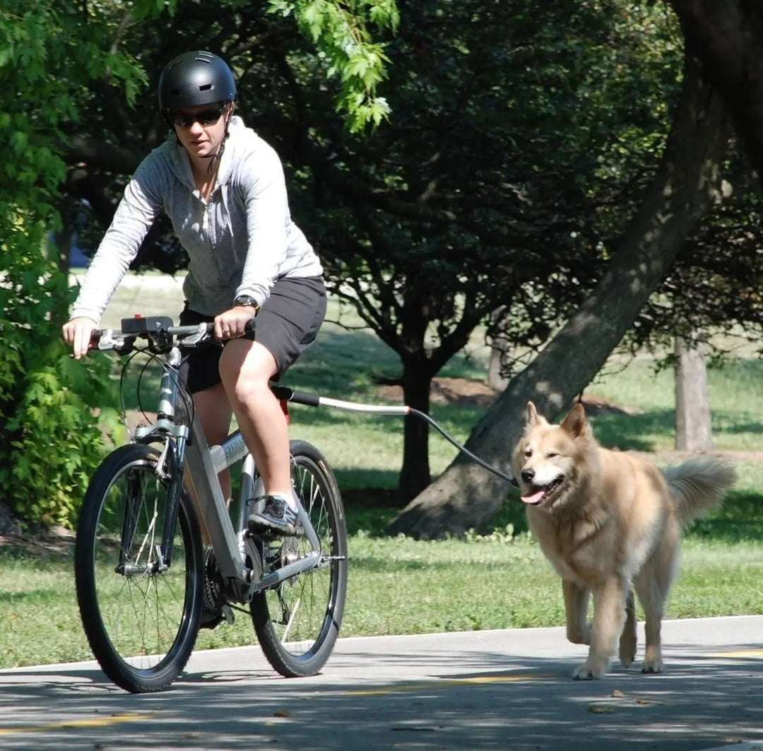 Unisex hands-free bicycle dog leash with shock absorption for safe cycling with pets