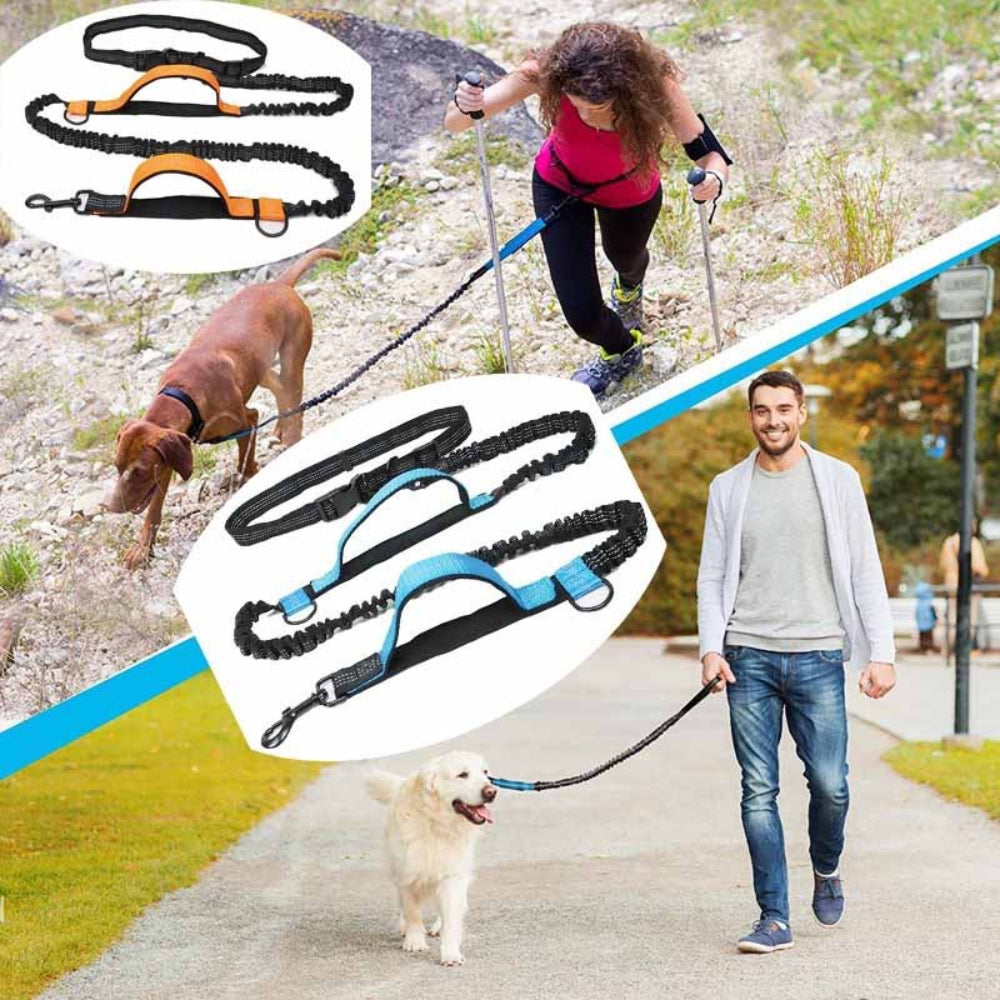 Unisex hands-free dog lead for running, black nylon with reflective stitching for pet safety.