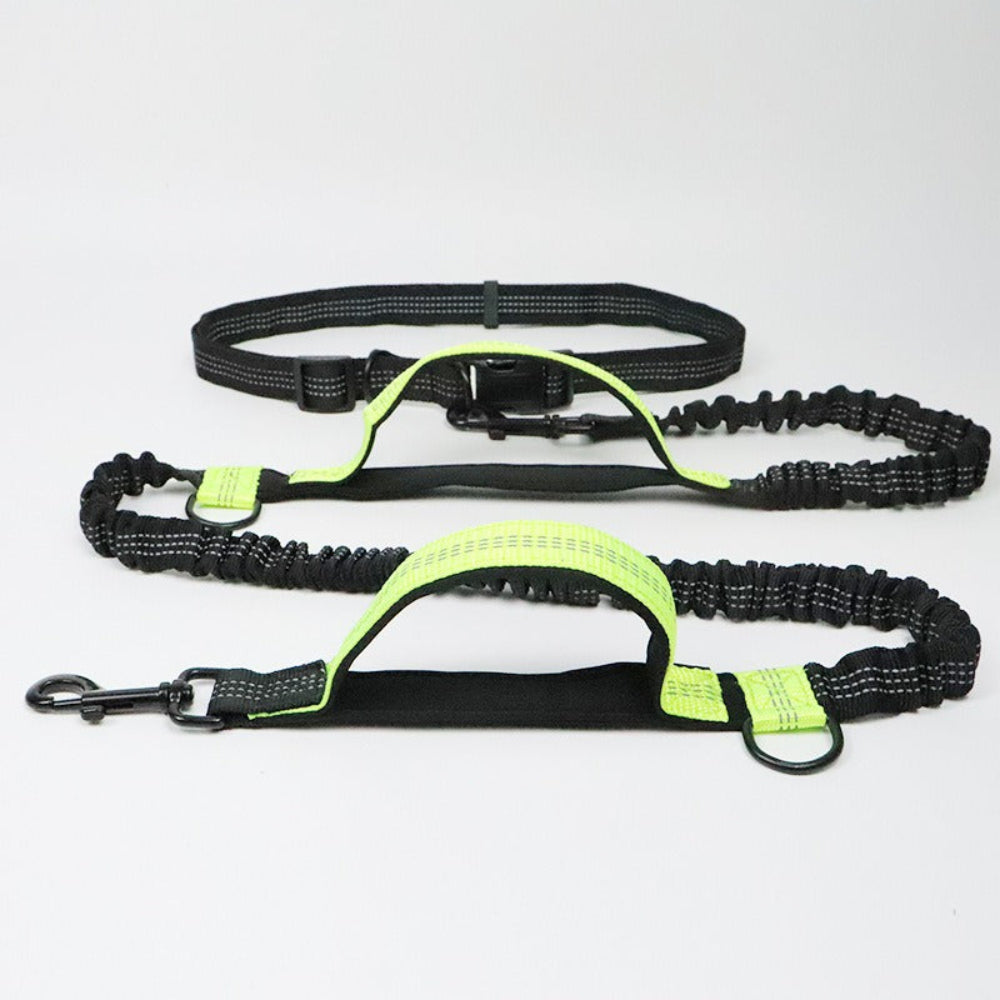 Multi-functional dog leash, adjustable black nylon for hands-free walking or running with your pet.