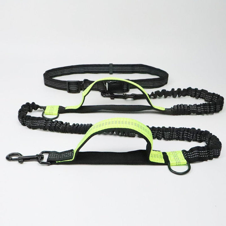 Multi-functional dog leash, adjustable black nylon for hands-free walking or running with your pet.