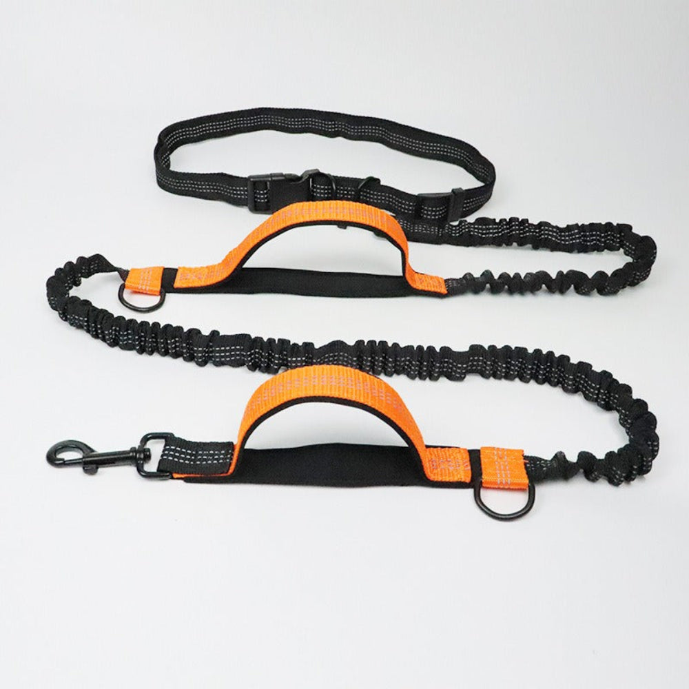 Close-up of the New4 hands-free dog lead, black fabric with metal clips and adjustable buckles.