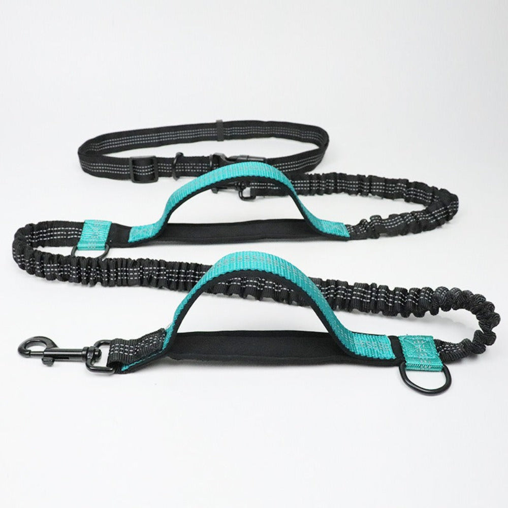 Hands-free dog lead in black, showing multiple ways to wear, ideal for running and pet safety.