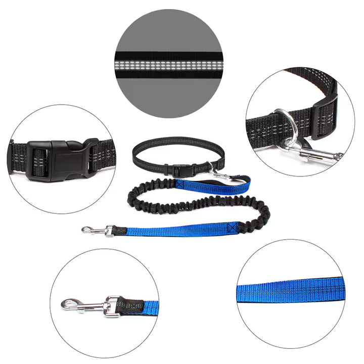 Hands-free dog leash with durable bungee, ideal for unisex pet owners, adjustable belt for jogging.