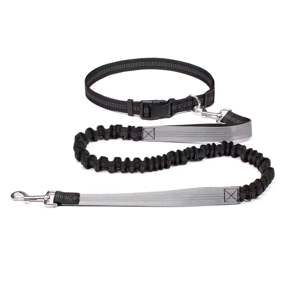 Unisex hands-free dog leash featuring a strong bungee system for active dog walking, black and red.