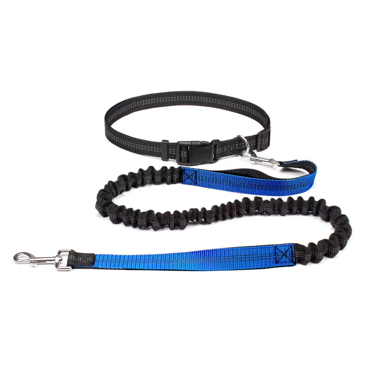 Reflective hands-free dog leash with integrated bungee, essential pet accessory for safe outdoor jogs.