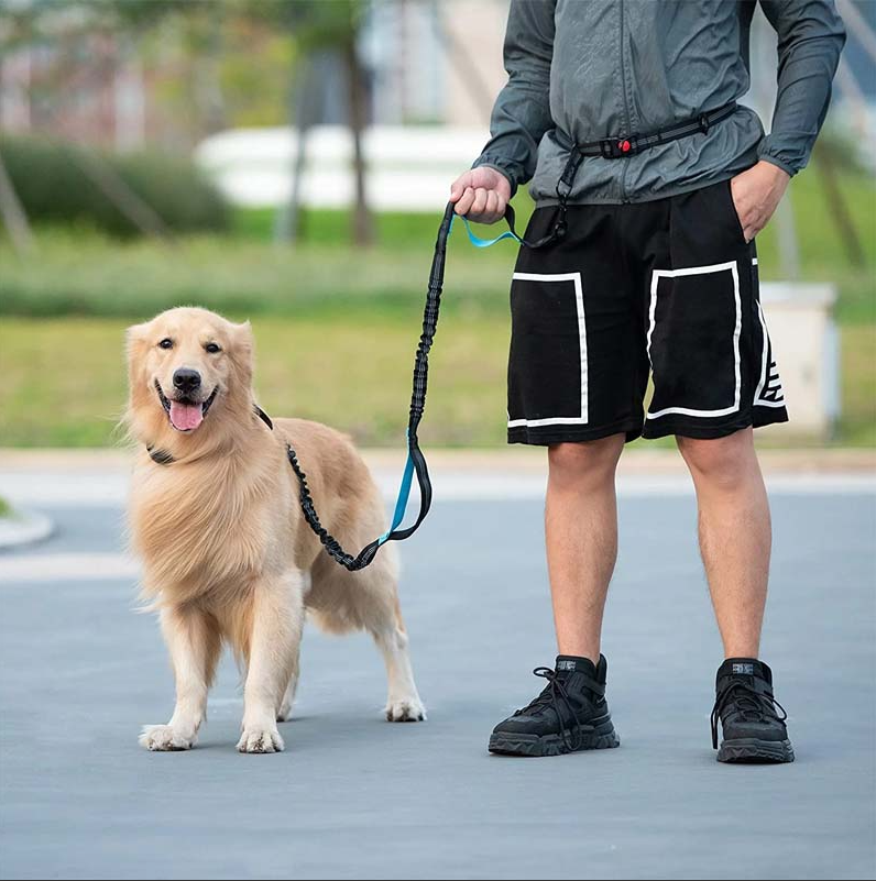 Unisex hands-free dog leash with reflective fanny pack for jogging and walking, black