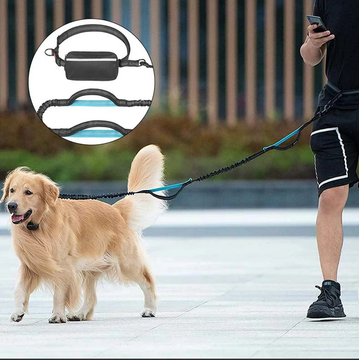 Ergonomic hands-free dog leash with fanny pack for comfortable walking and running