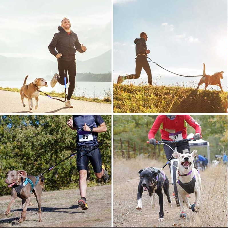 Unisex hands-free dog leash and fanny pack. Ideal for active pet owners and dog walking