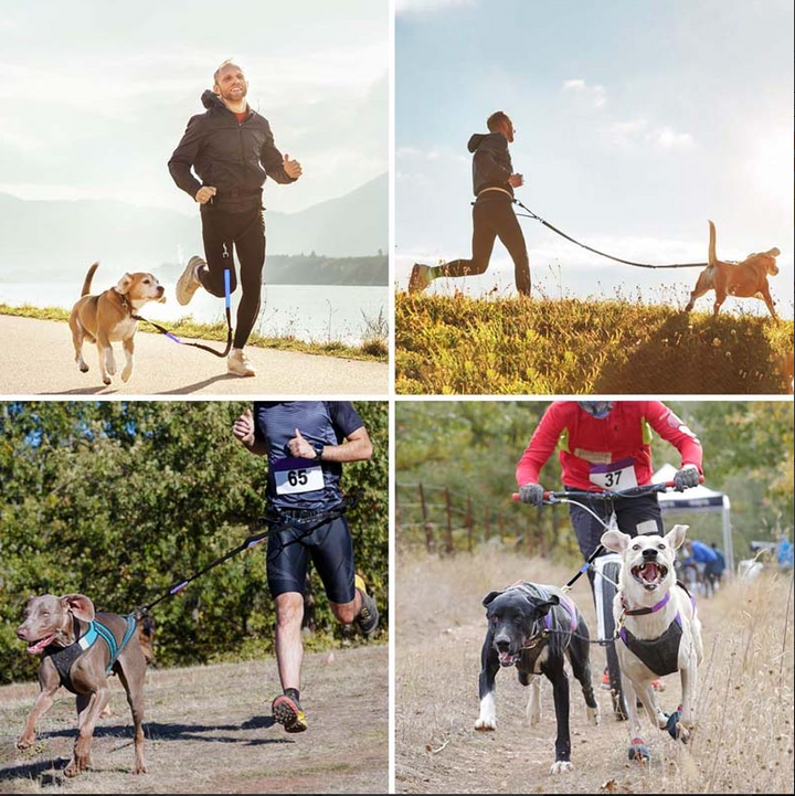 Unisex hands-free dog leash and fanny pack. Ideal for active pet owners and dog walking