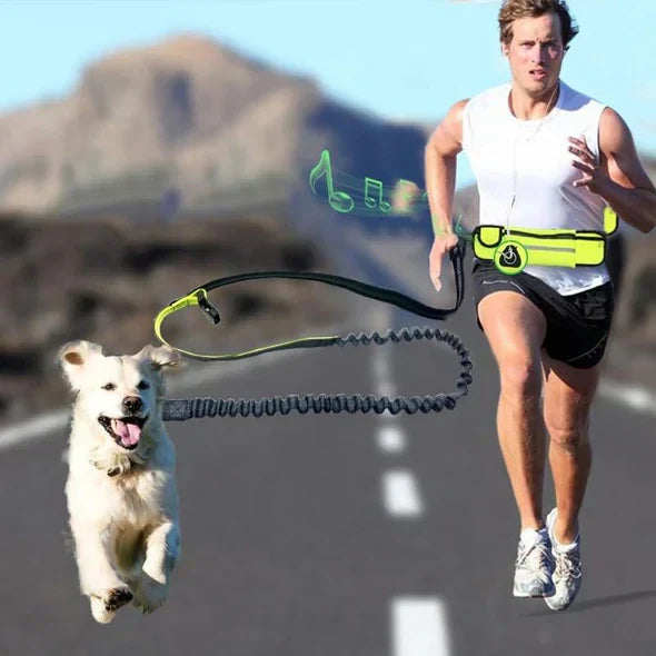 Reflective bungee dog leash and ergonomic hands-free hip belt, ideal for outdoor running