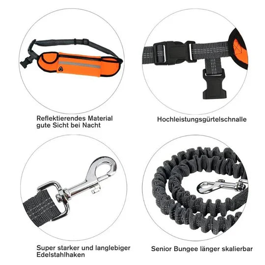 Hands-free dog walking leash system with durable running belt and shock-absorbing bungee