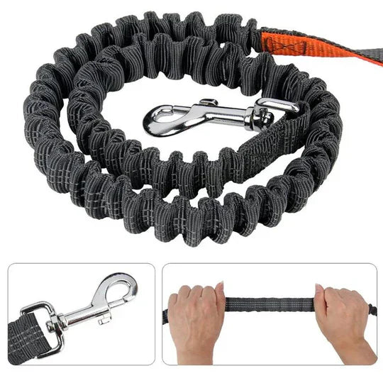 Pet accessory: Unisex hands-free dog running leash with an adjustable, reflective hip belt