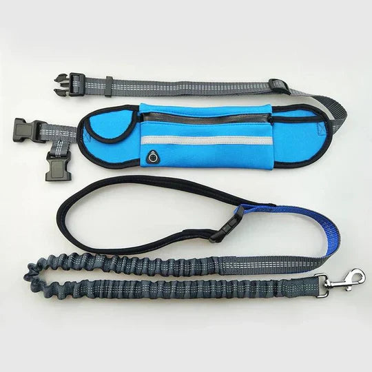 Bungee dog leash and hip belt combo, allowing hands-free running and dog walking