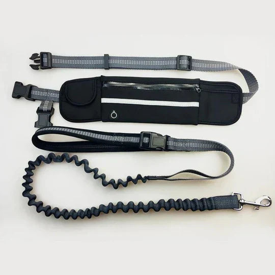 Adjustable hands-free dog leash for running, featuring a reflective hip belt for safety