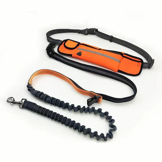 Dog walking pet accessory: Hands-free bungee leash with a supportive running hip belt